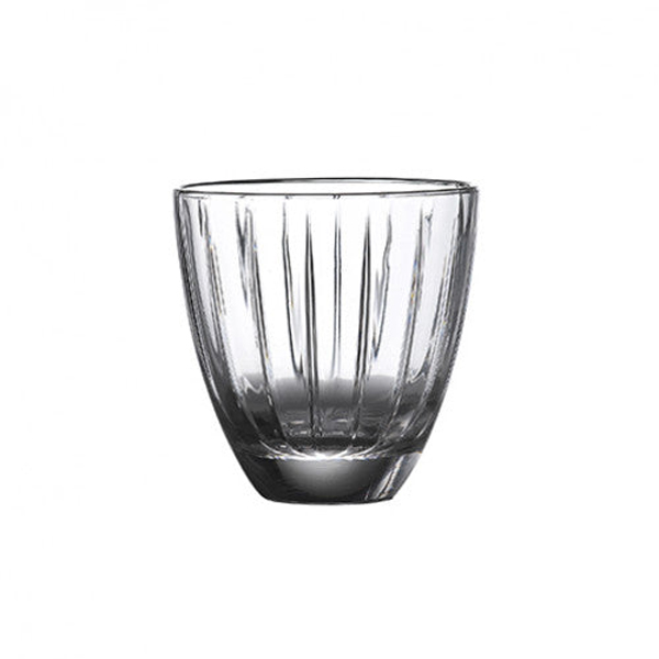 66973 8.5oz Accedemia Rocks Tumbler
