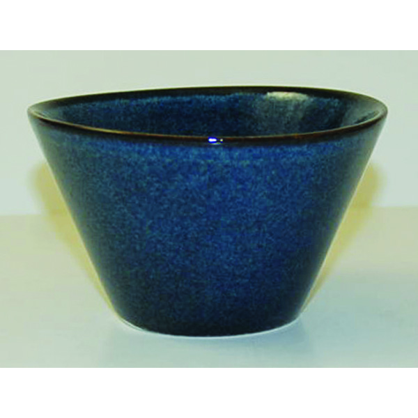 17.5oz Bit On The Side Zest Bowl Blue
