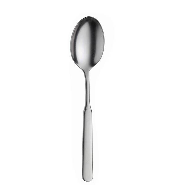 Casali Stonewash Dessert Spoon