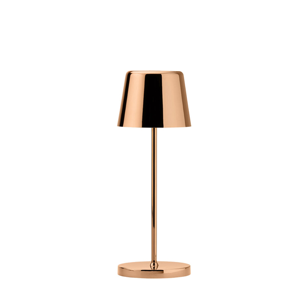 20cm Bermuda Micro Led Lamp Copper Pvd