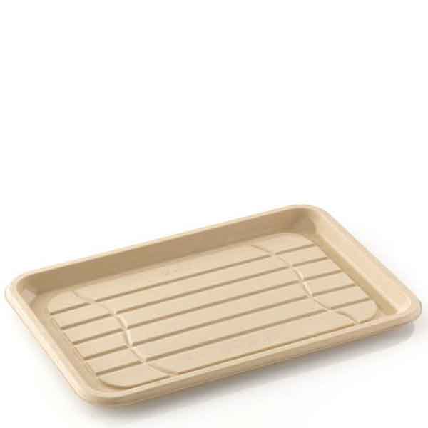 350x240x21mm Bepulp Bagasse Rectangular